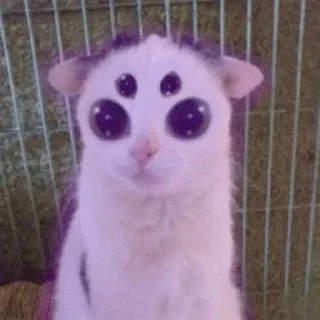 🛸