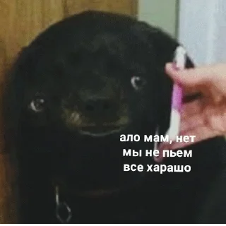 🍻