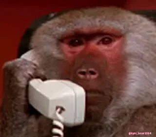 🐵
