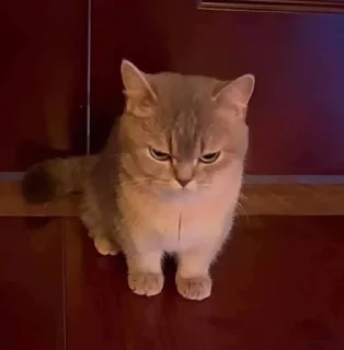 😡
