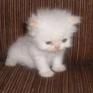 ➖