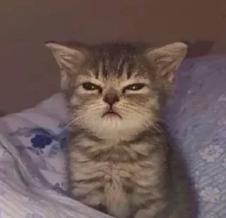 🥺