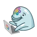 🧑‍💻