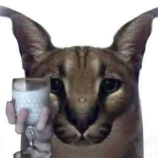 🍷