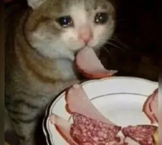 😭