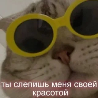 😻