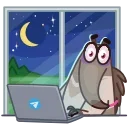 🧑‍💻