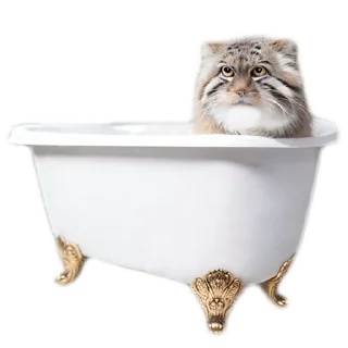 🛁