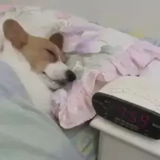 ⏰