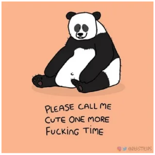 🐼