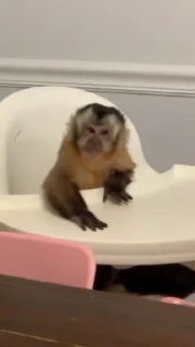 😅