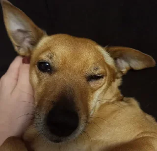 😉