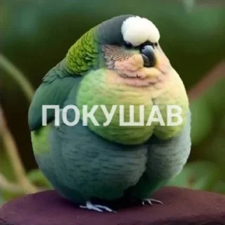 🍩
