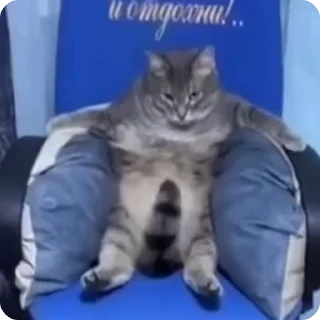 💪
