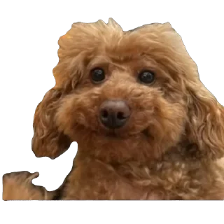 😁