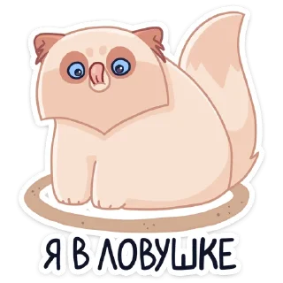😅