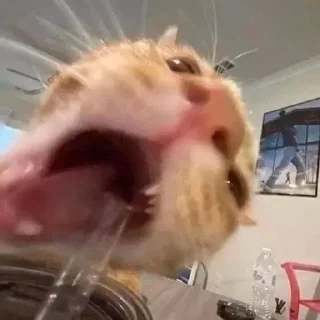 😛