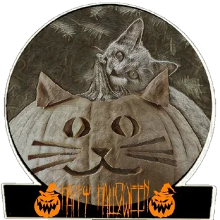 🎃