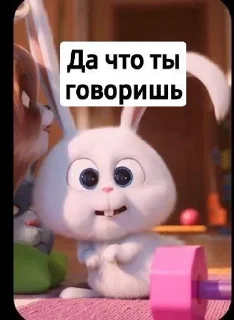 ToedHylicWiry :: @fStikBot