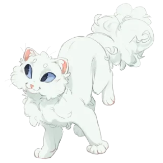 🐱