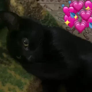 💕