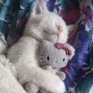 😴