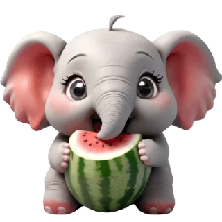 🍉