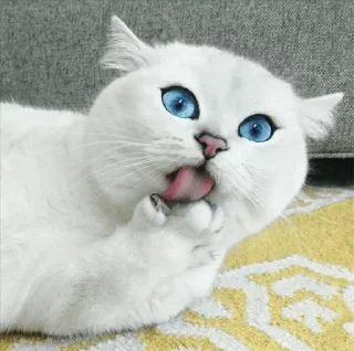💙
