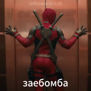 🥳