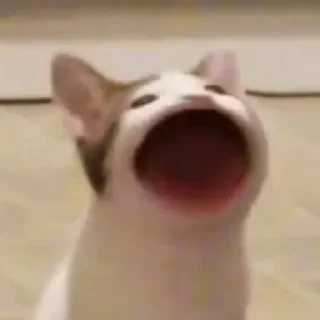 😄