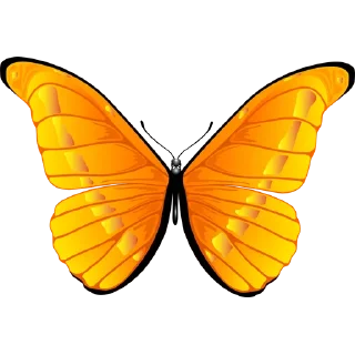 🦋