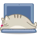 💻