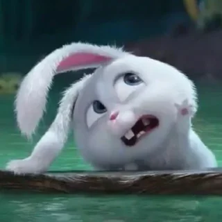 😨