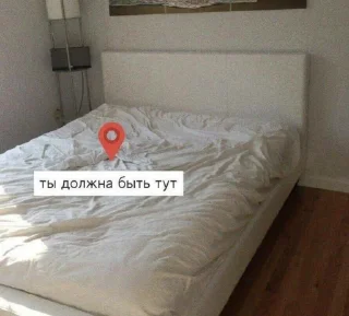 🫂