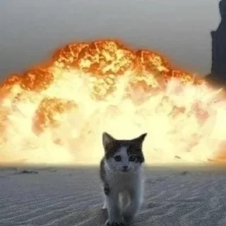 💥