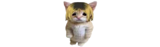 🐈