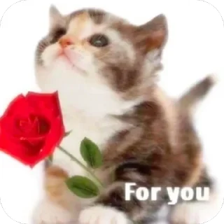❤️
