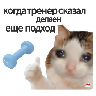 🥲