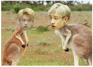 Stray Kids @Seungri13