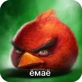 🐦