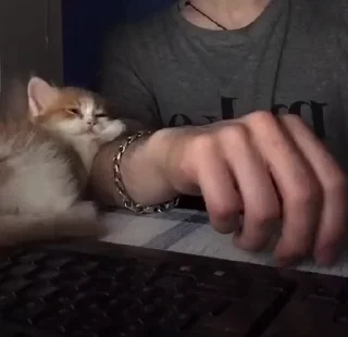 ❤️