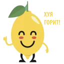 🍋