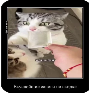 👍