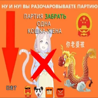 🐱