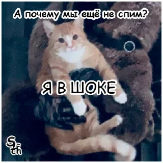 😳