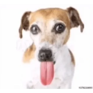 👹