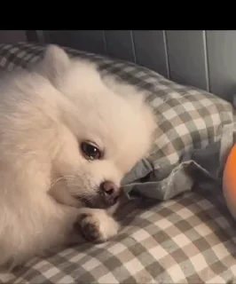 ☹️