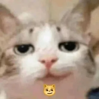 😏