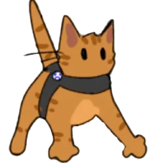 🐱
