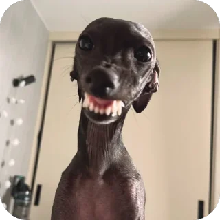 😁